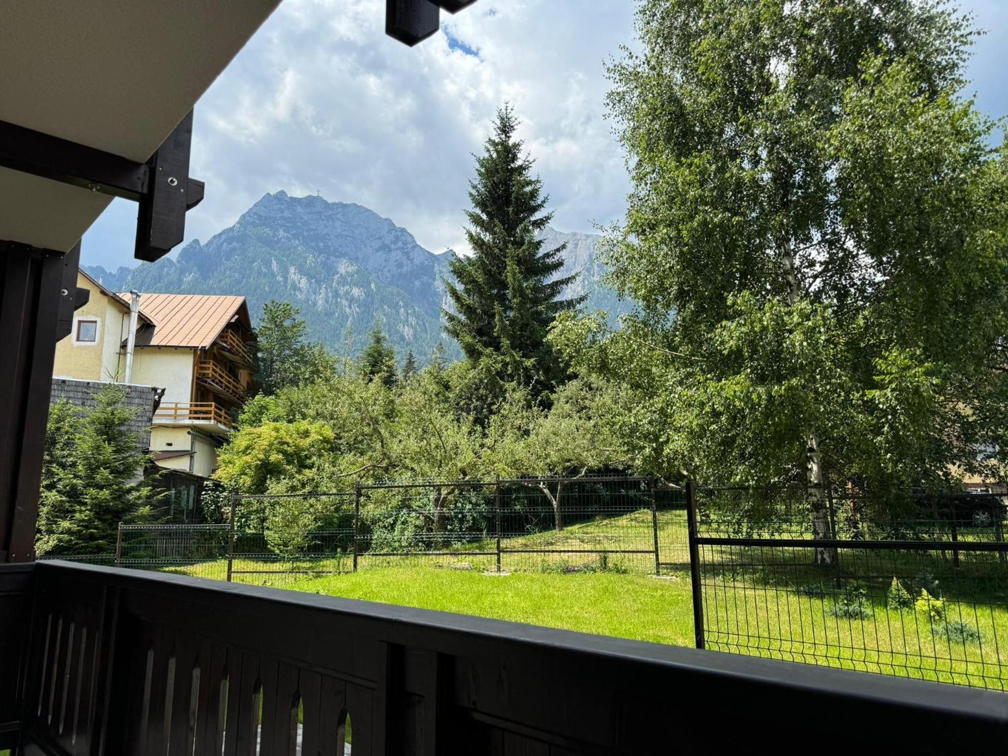 The View Apartment 3 Busteni Exterior photo